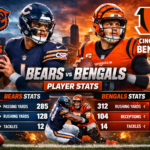 Chicago Bears vs Bengals Match Player Stats