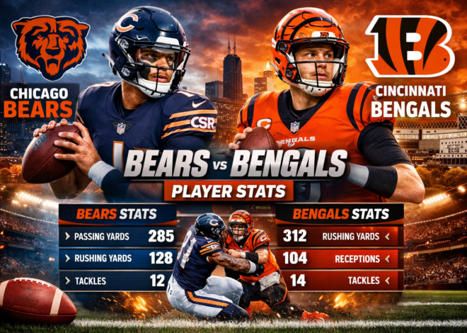 Chicago Bears vs Bengals Match Player Stats